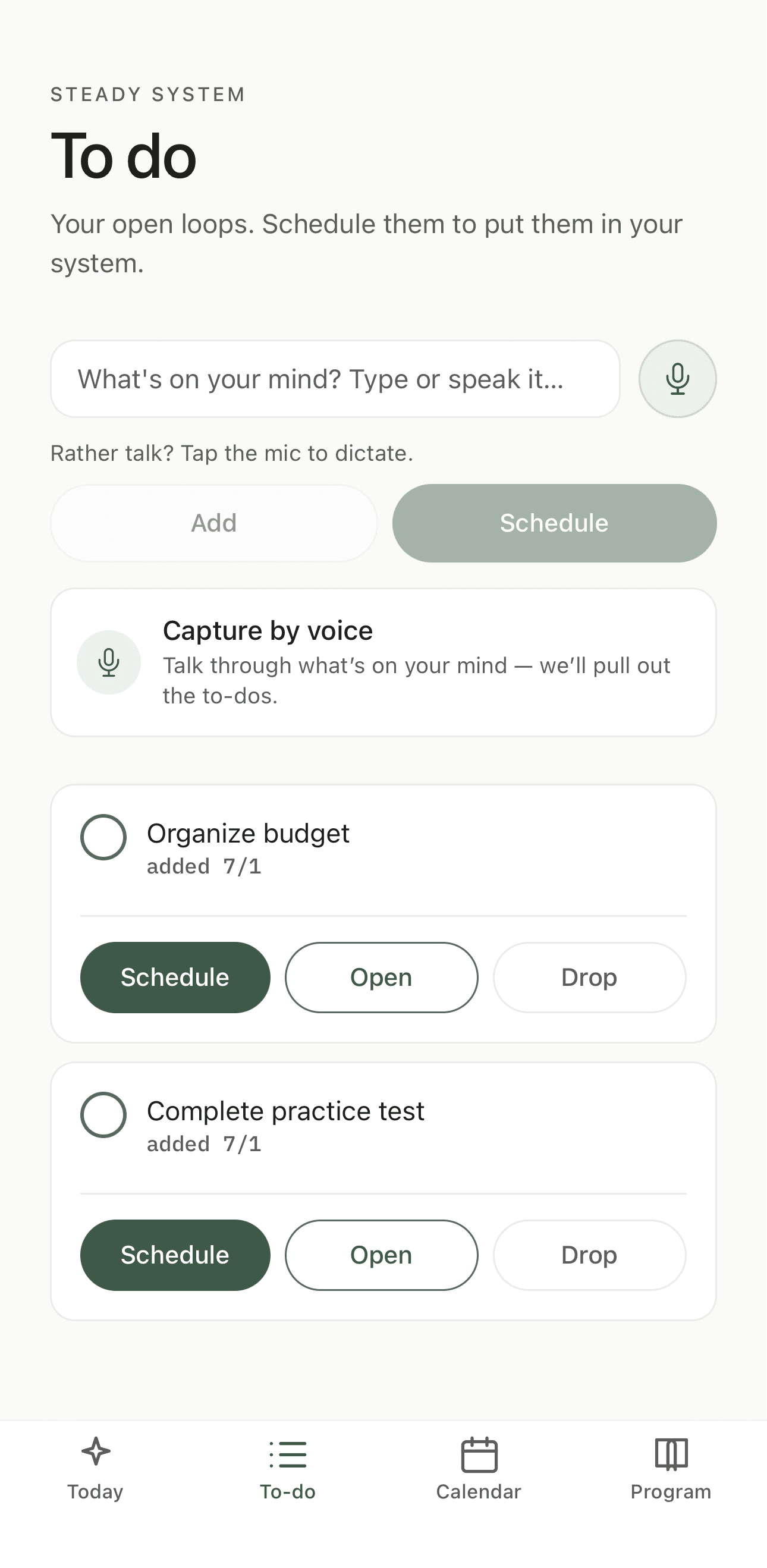 Steady To-do screen for capturing and organizing tasks